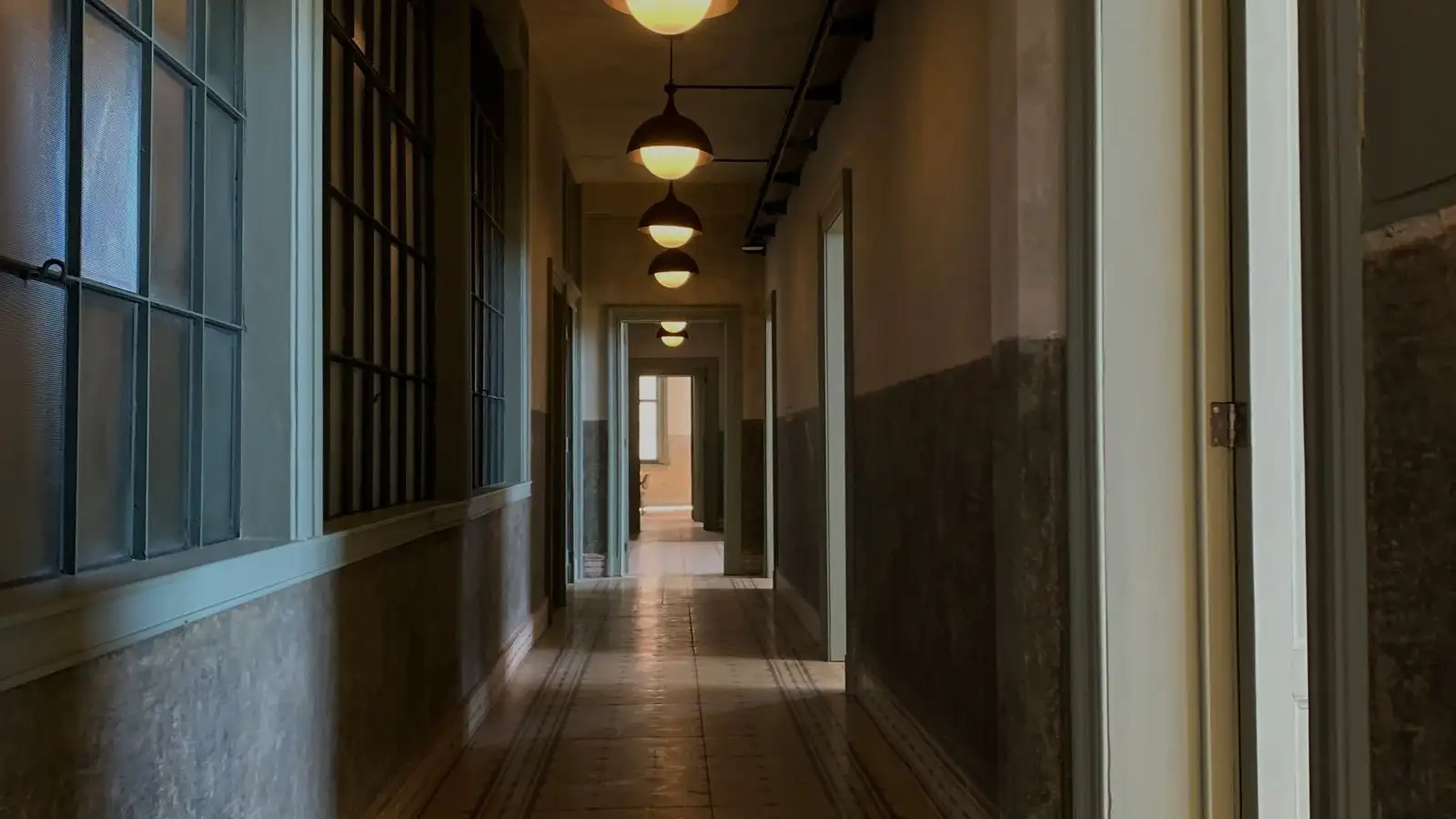 Como ensinar seu cão a vir no corredor do apartamento